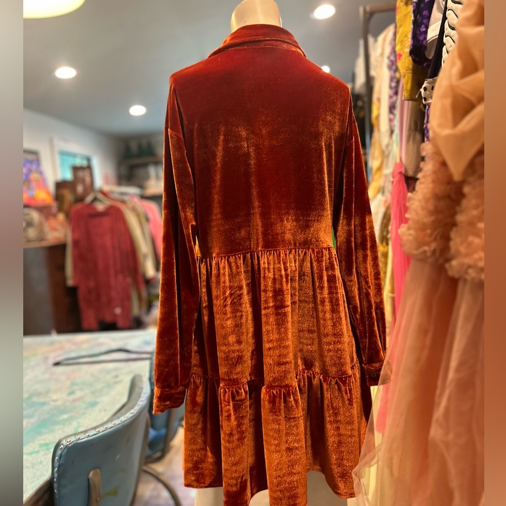 Rusty Velvet Prairie Dress - Picture 4 of 11